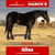Horse ad