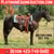 Horse ad