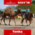 Anuncio de caballos