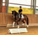 Annuncio cavallo