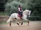 Annuncio cavallo
