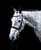 Horse ad