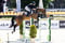 Annuncio cavallo