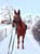 Horse ad