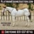 Horse ad