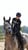 Annonce cheval