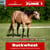Paardadvertentie
