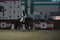 Annuncio cavallo