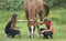 Horse ad