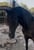 Annonce cheval