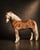 Annuncio cavallo