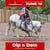 Annuncio cavallo