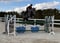 Annuncio cavallo