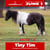 Paardadvertentie