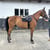 Horse ad