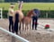 Horse ad