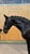 Annonce cheval