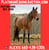 Annuncio cavallo