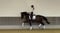 Annuncio cavallo
