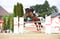 Annuncio cavallo