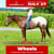 Horse ad