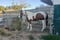 Annuncio cavallo