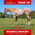 Annuncio cavallo