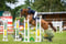 Horse ad