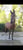 Horse ad