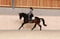 Horse ad