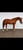 Paardadvertentie