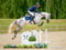Annuncio cavallo