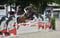 Horse ad