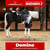 Annonce cheval