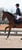 Horse ad