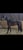 Annuncio cavallo