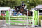 Annuncio cavallo