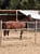 Annuncio cavallo