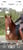 Horse ad