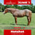 Paardadvertentie