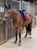 Horse ad
