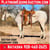Horse ad