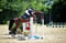 Horse ad