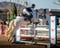 Horse ad