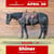 Horse ad