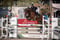 Horse ad