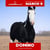 Horse ad