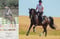 Annuncio cavallo