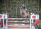 Horse ad
