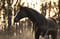 Anuncio de caballos